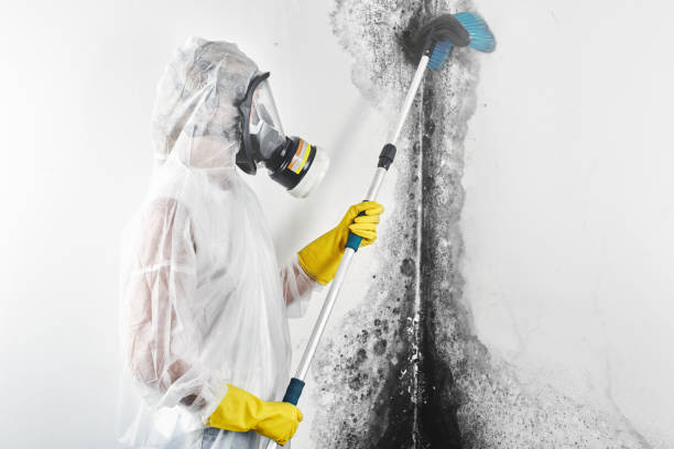 Best HVAC Mold Inspection and Cleaning  in Cypress Lake, FL